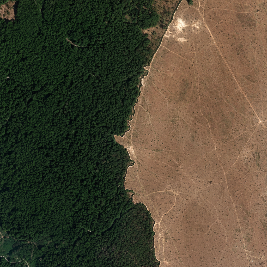 satellite view of the amazon rainforest showing a distinct boundary between lush green dense forest and brown completely deforested dry land, high contrast, realistic, aerial photography style