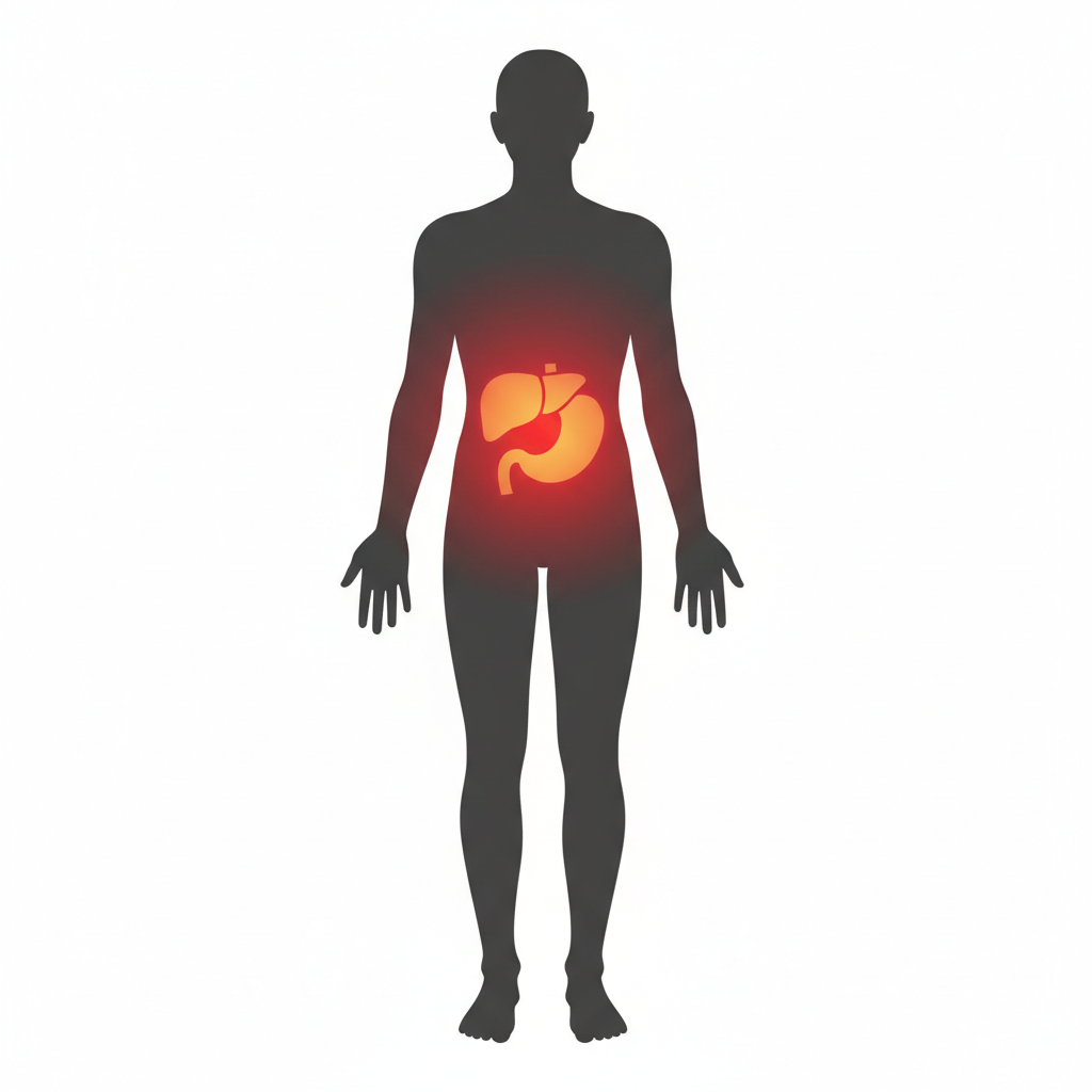 Medical vector silhouette of human body, highlighting skin (red glow) for tropical and liver/stomach (orange glow) for systemic, clean design