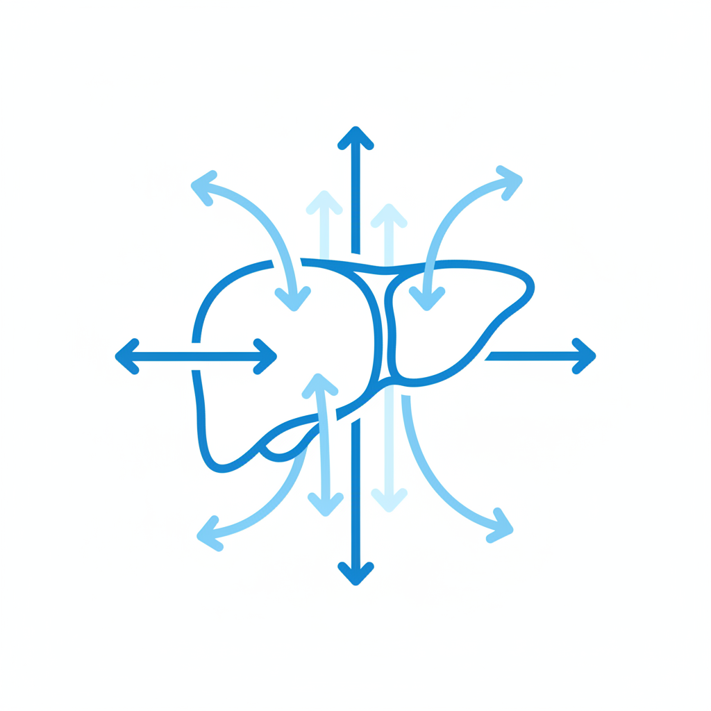 Icon of a liver with metabolism arrows, medical style, blue and white