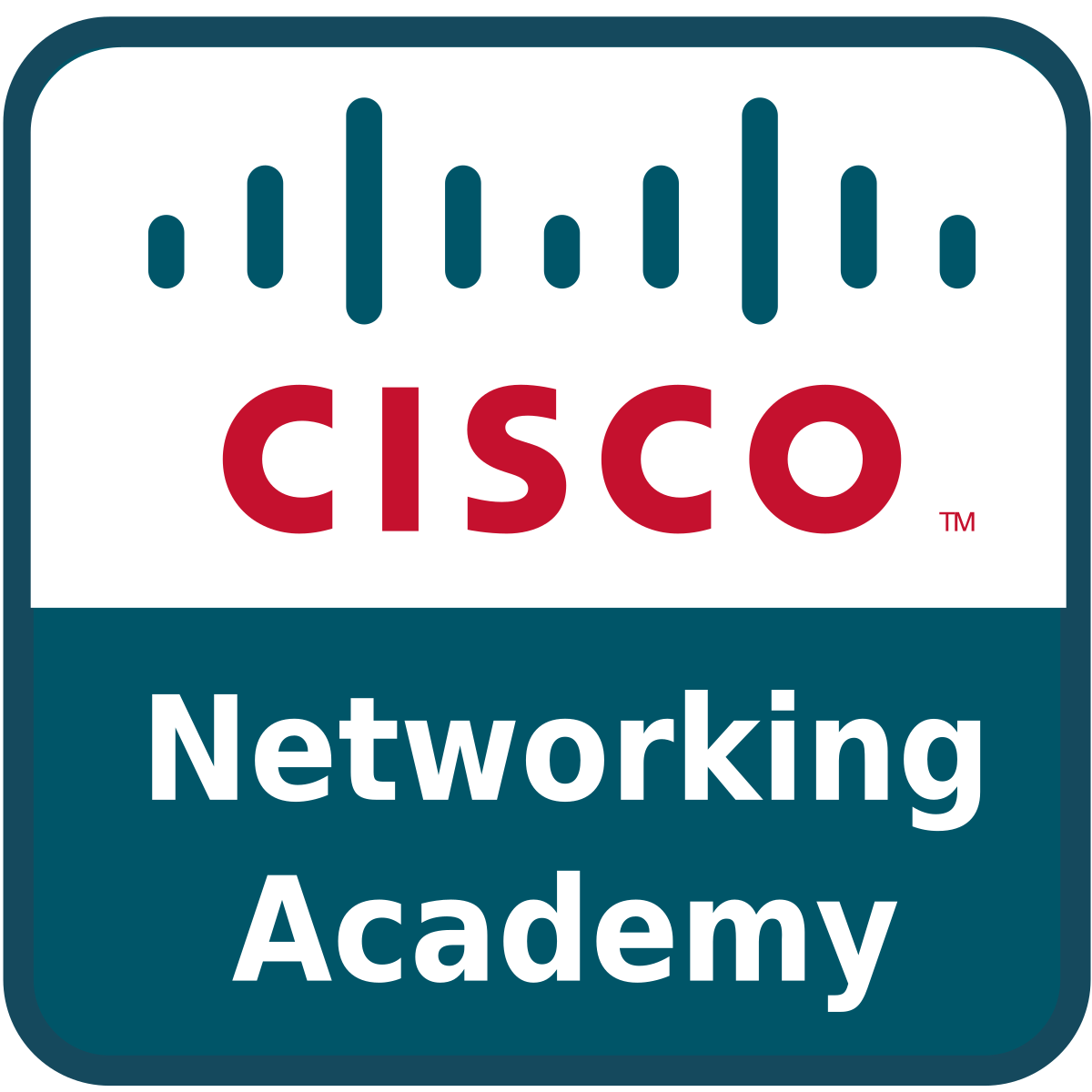 Cisco Networking Academy logo white background