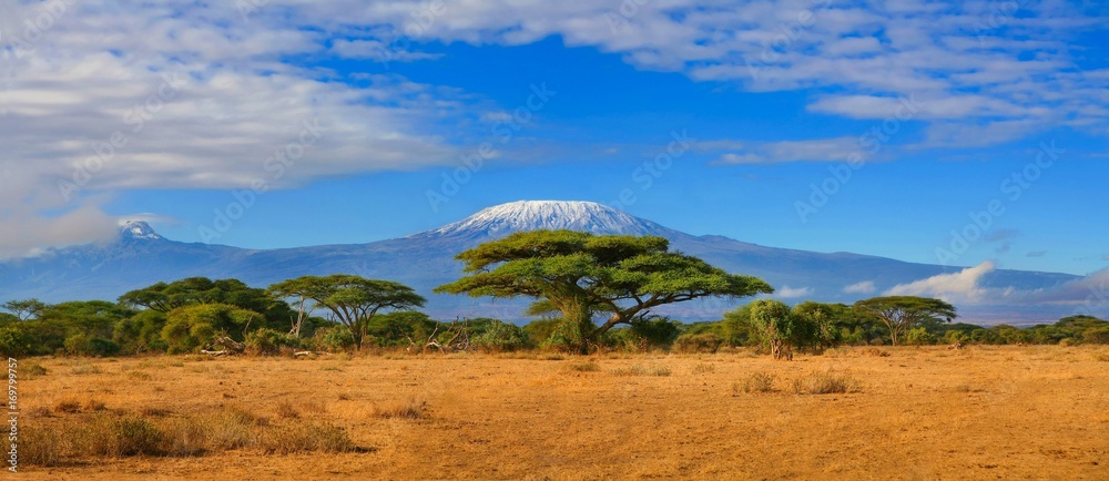 Mount Kilimanjaro snow cap peak landscape with clouds Tanzania photography