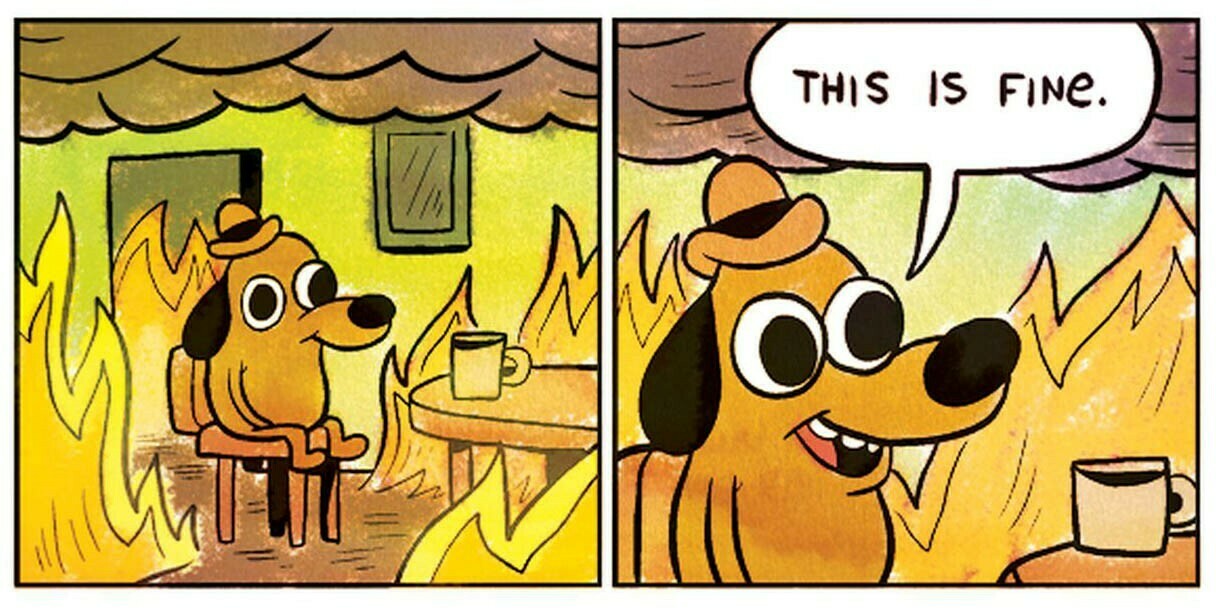 This is fine dog meme