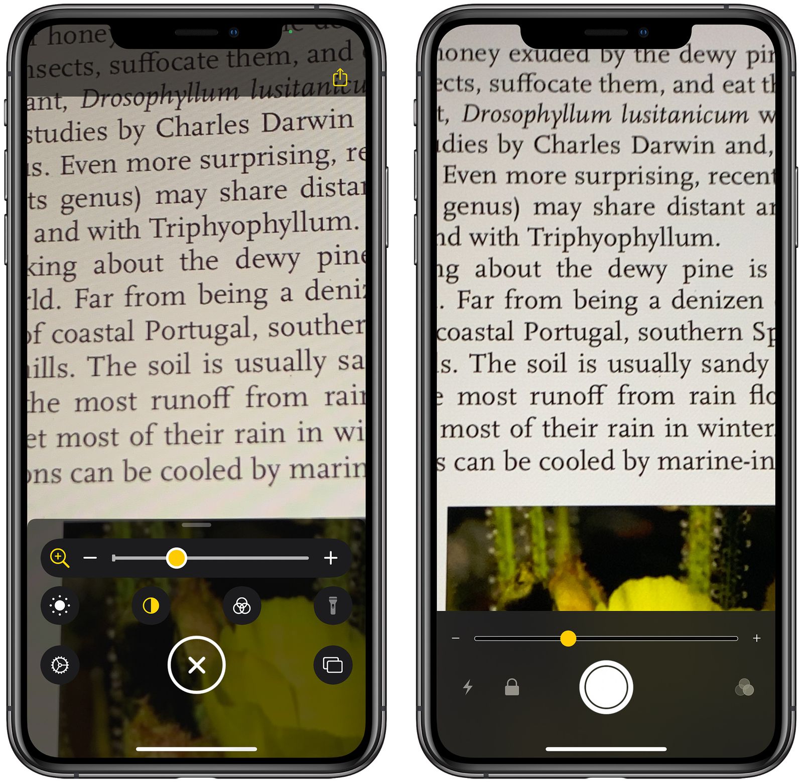 iPhone screen showing Magnifier interface close up
