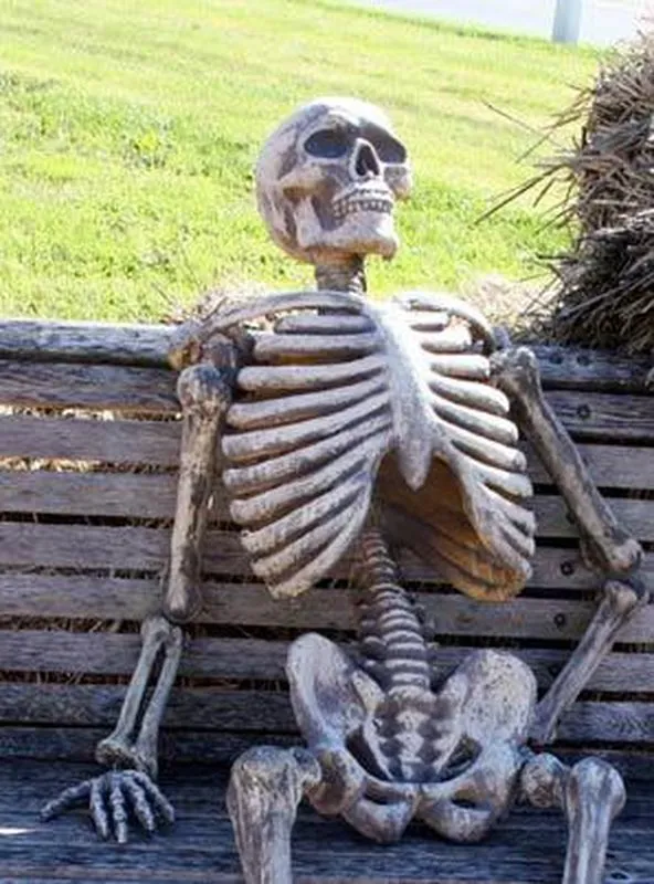 Skeleton waiting on bench meme