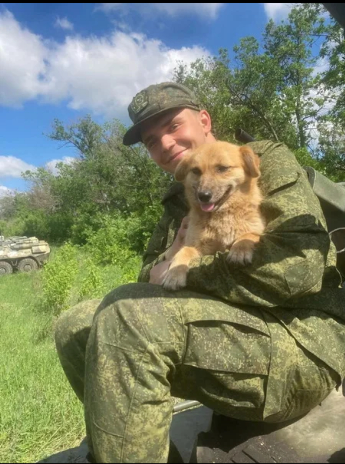 Gold Star medal of the Hero of Russia close up, shining, on a red velvet cushion