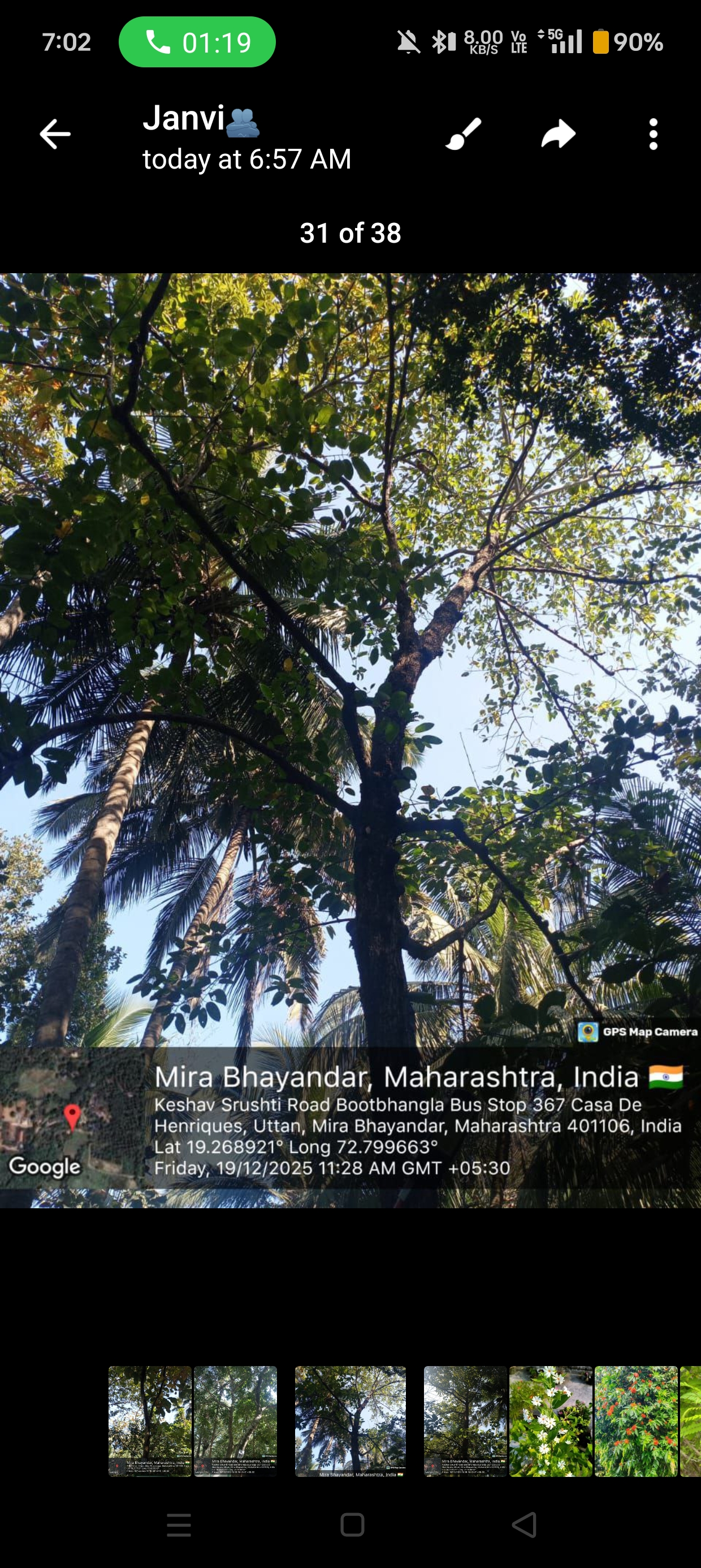 Bombax ceiba red silk cotton tree flowers, botanical photography, high resolution
