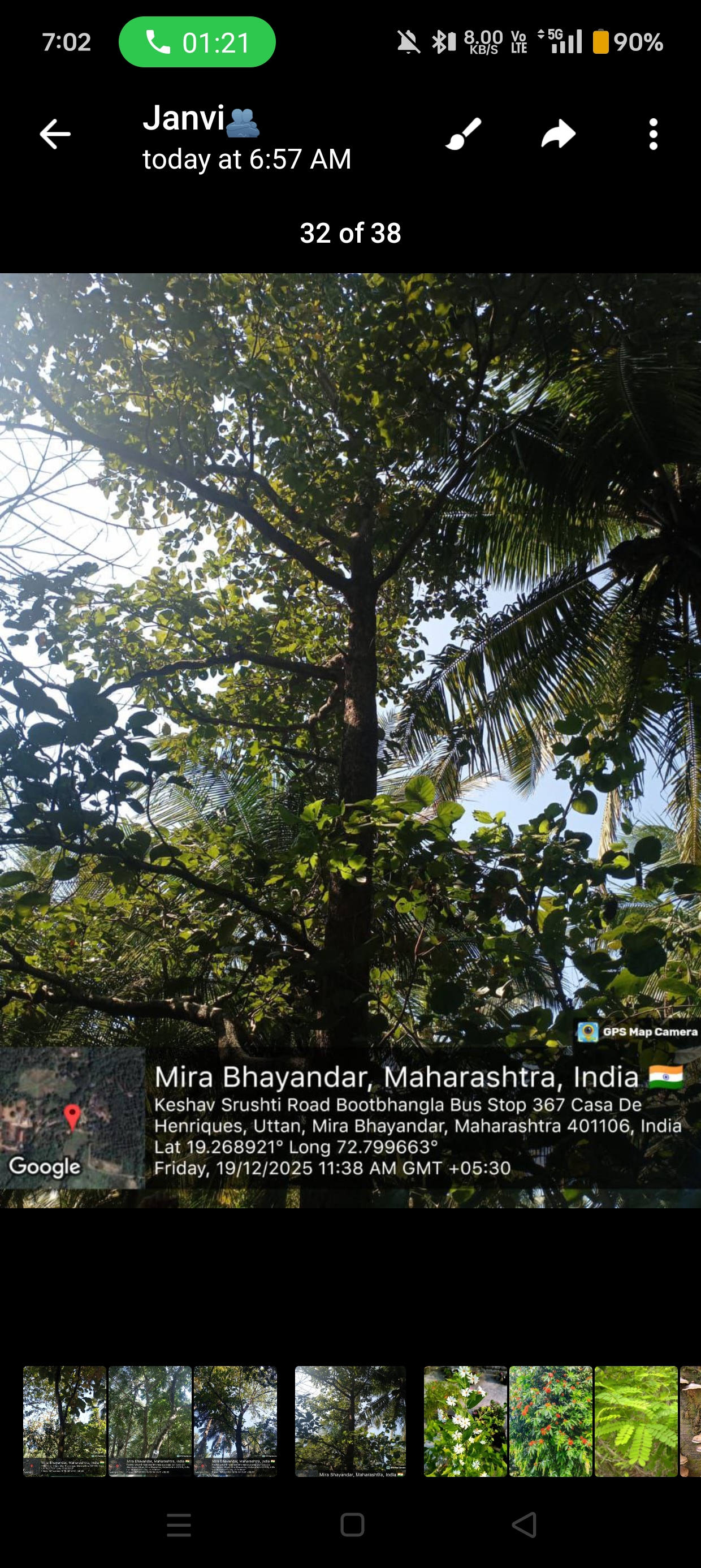 Costus speciosus crepe ginger white flower, botanical photography, high resolution